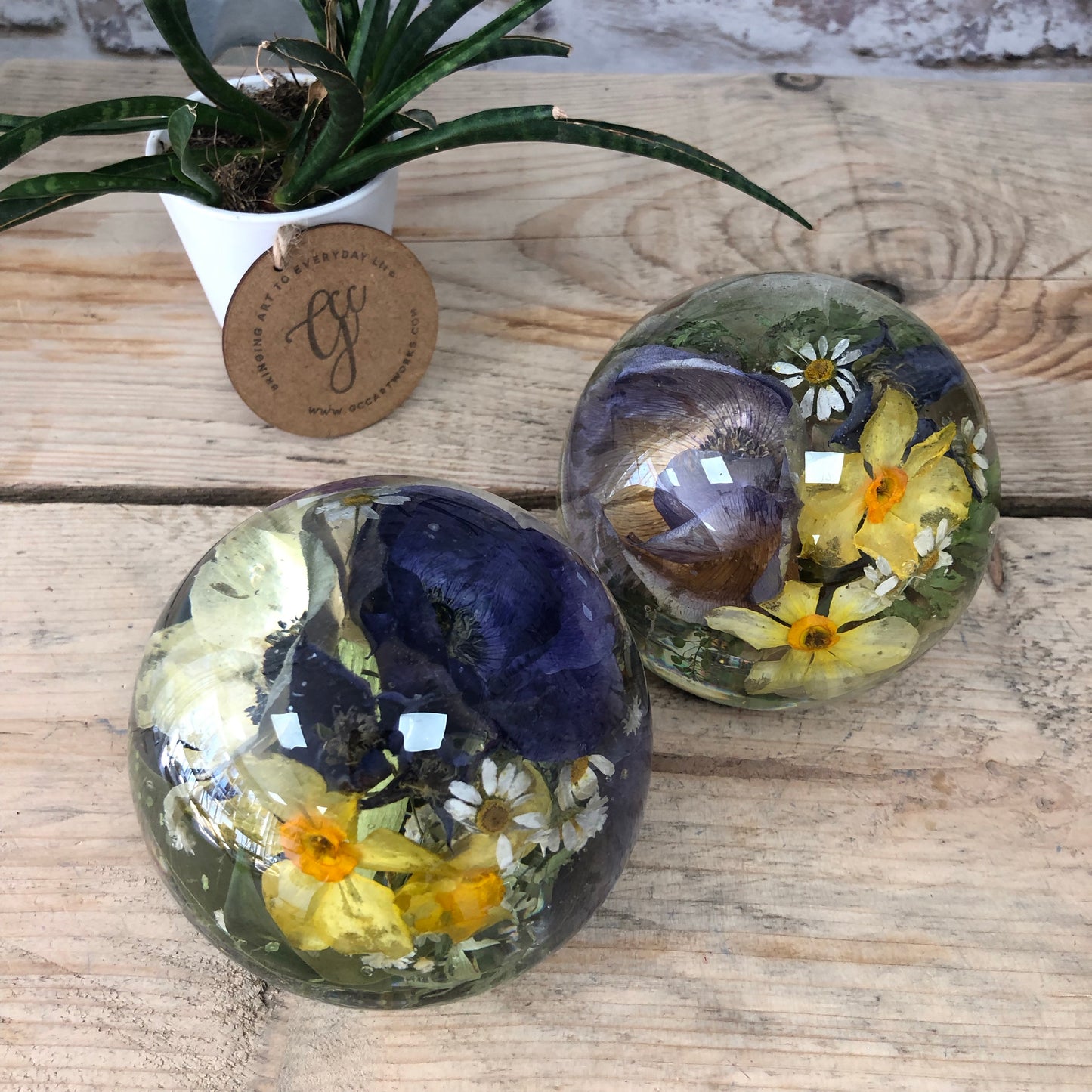 Wedding / Memorial Flowers Preserved in Resin Orb - 10cm